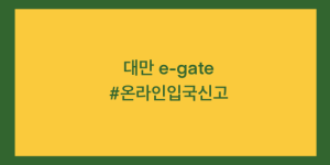 대만 e-gate